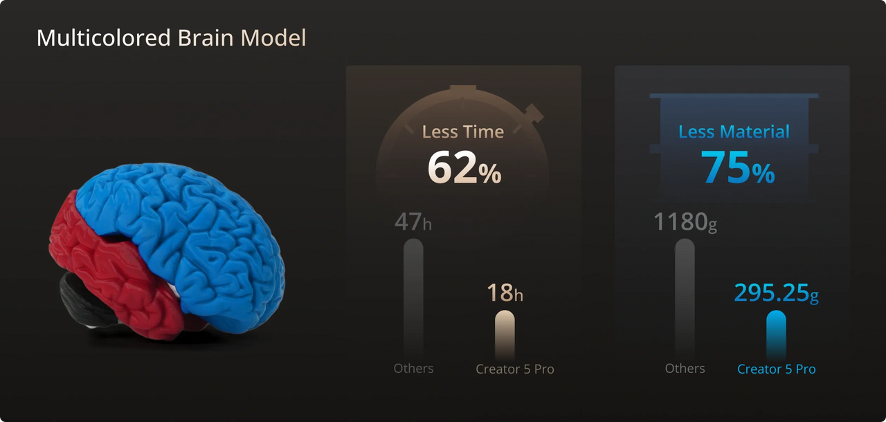 Multicolored Brain Model